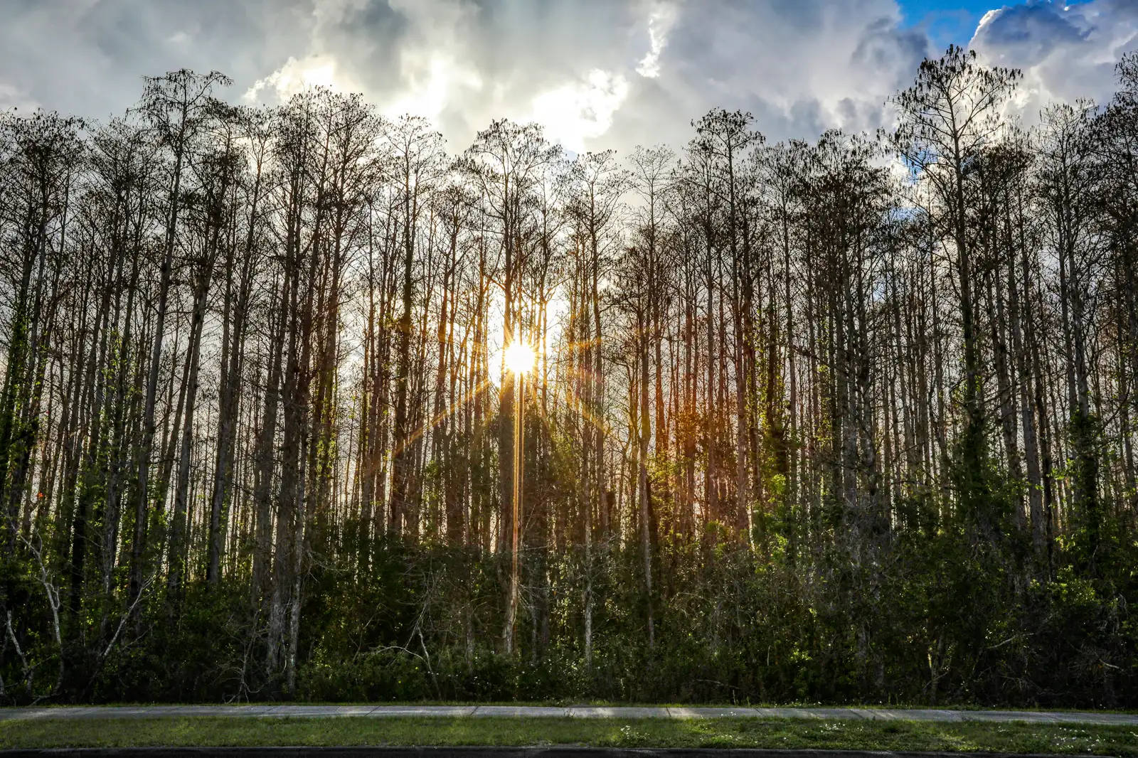 Mount Kalaga · Mood photos of real places in Florida, not images from the game.